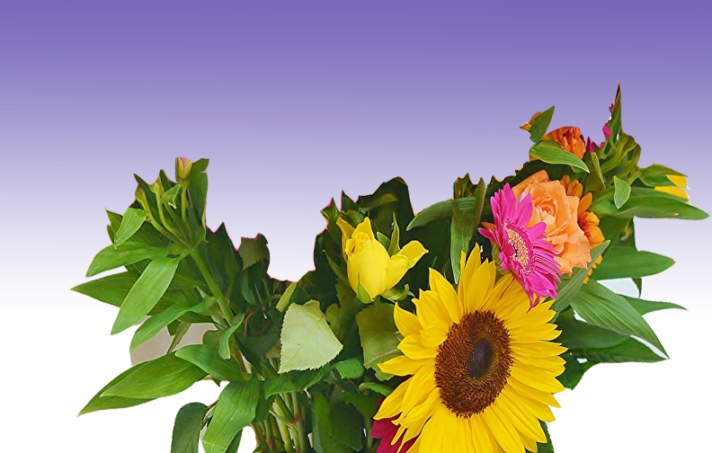flower images wallpapers