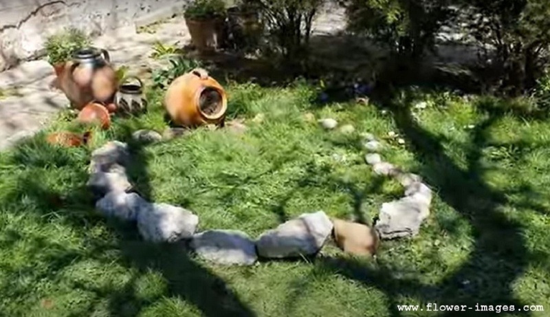 Stifling bloom images