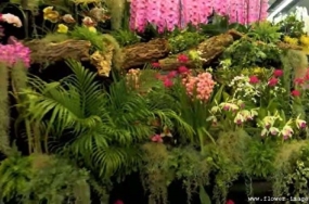 download happy bloom images download happy bloom images
