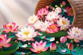 Beautiful-lotus-flowers-grow-in-big-basket-453 Beautiful-lotus-flowers-grow-in-big-basket-453