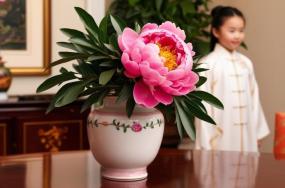 goodmorning flowers images goodmorning flowers images