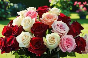 good morning flower pic