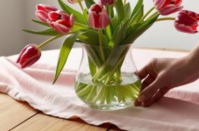 good morning flowers good morning flowers