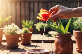 flower images download flower images download