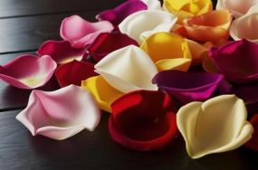good morning flowers images