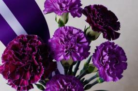 carnation-bouquet_Beautiful-carnation-bouquet-with-purple-color-strip-and-white-color-note-in-HD-look.-23 carnation-bouquet_Beautiful-carnation-bouquet-with-purple-color-strip-and-white-color-note-in-HD-look.-23
